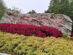 -东平国家森林公园