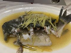 清蒸皖鱼-富黎华海鲜大酒楼(正大广场店)
