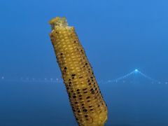 -星海广场