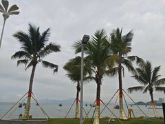 -金融街·金禧丽景海公园度假酒店