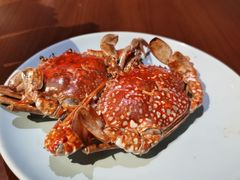 -郑州美盛喜来登大酒店
