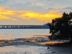 -宝安西湾红树林湿地公园