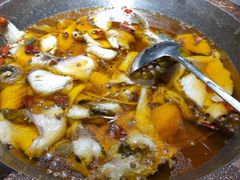 招牌水煮草鱼-雲蜀龙阁·金牌水煮鱼(方庄店)