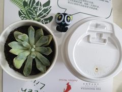 -王府半岛酒店·大堂茶座