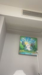 -咪咪专业脱毛连锁机构