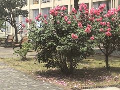 -南京医科大学(江宁校区)
