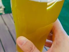 -麦落精酿啤酒餐吧(先农大院店)