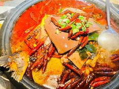 毛血旺烤鱼-探鱼·鲜青椒爽麻烤鱼(天河优托邦店)