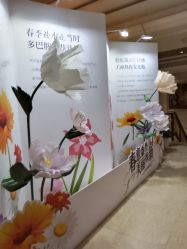 -禾丽康美医疗美容医院
