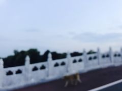 -宏玲餐厅(四川南路店)