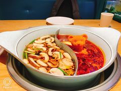-青瓷火锅料理(西单大悦城店)