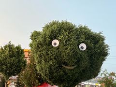 -特克斯八卦城