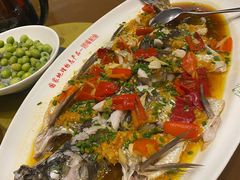 -丹江渔村(望京店)