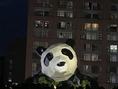 -老龙亭拉面店