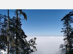 -瓦屋山景区