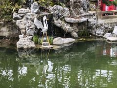 -上海醉白池公园