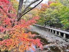 -关门山森林公园