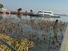 -渔娘蟹庄(阳澄湖莲花岛店)