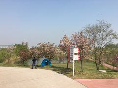 -红山体育乐园