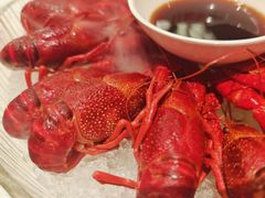 -红盔甲·小龙虾(天钥桥店)