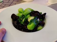 木耳炒菜心-内蒙古驻京办餐厅
