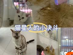 -凯德MALL(望京店)