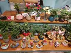-胡桃里音乐酒馆(四道口店)