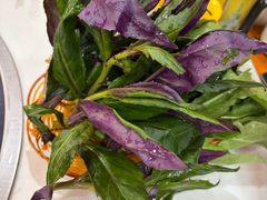 -藏味八珍特色火锅