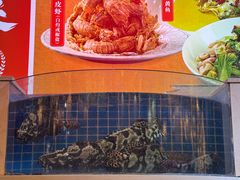 -必点海鲜·海肠捞饭·鲅鱼水饺(滨江道店)