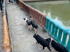 -湖南湘都生态农业园