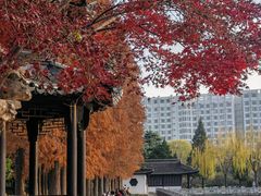 -清晏园