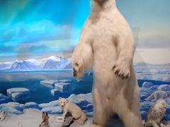 -陕西自然博物馆