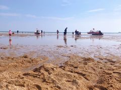 -巧克力渔家.小船海鲜胶东菜(万平口店)