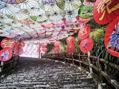 -玉石林风景区