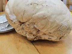 -乡土特色.冷锅鱼.牦牛肉汤锅