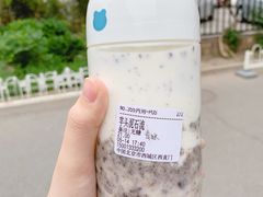-兰熊鲜奶(西直门凯德mall店)