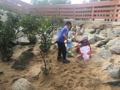 -宝安西湾红树林湿地公园