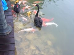 -东部华侨城