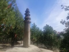 -白水寺森林公园