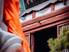 -西安青龙寺遗址景区