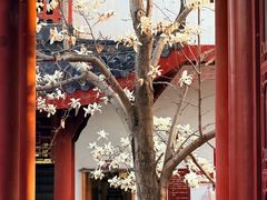 -堤角公园