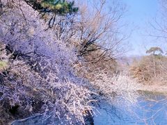 -颐和园
