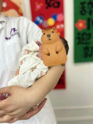 -喜孕时光月子中心(北大妇儿东侧店)