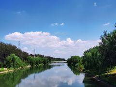 -马家湾湿地公园