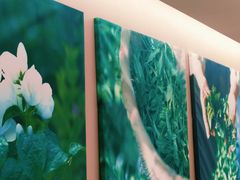 -奈雪的茶(中华广场店)