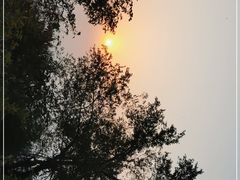 -北京西山国家森林公园