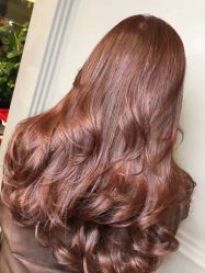 -Hair Code芭曲发型