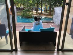 -三亚海棠湾万丽度假酒店