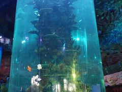 -青岛嘉年华主题乐园