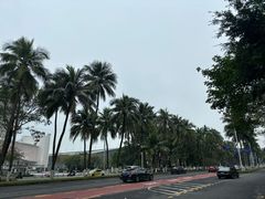 -万绿园